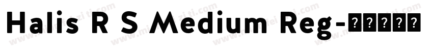 Halis R S Medium Reg字体转换